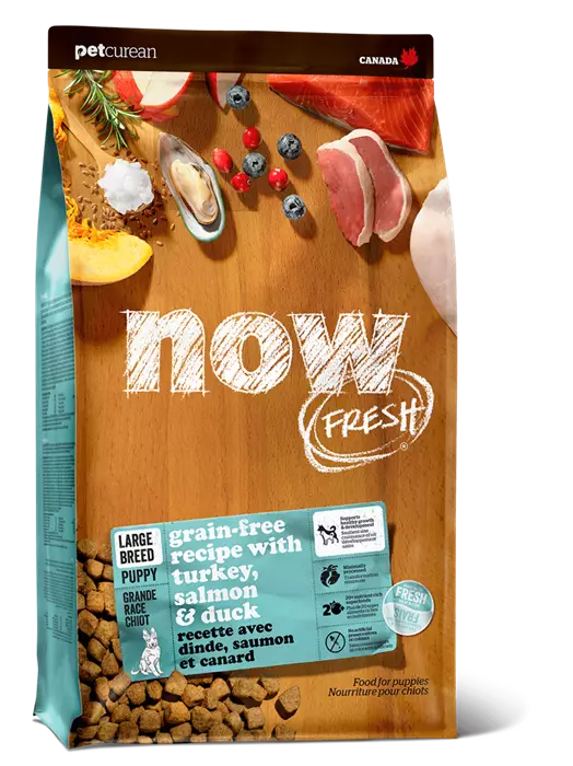 Беззерновой cухой корм NOW Fresh для щенков крупных пород с индейкой, уткой и овощами Puppy Large Breed