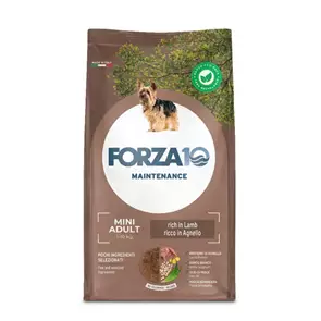 Сухой корм Forza10 Maintenance для взрослых собак мелких пород из ягненка с рисом Small/Medium
